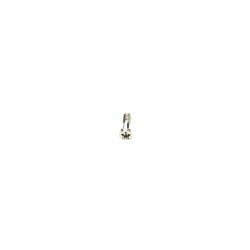 Vis du bas de châssis / écran pour iPhone 6S / iPhone 6S Plus Argent - Présentation avant