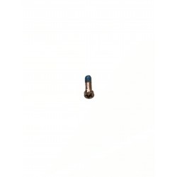 Vis du bas de châssis pour écran - iPhone 6S / 6S Plus Or Rose